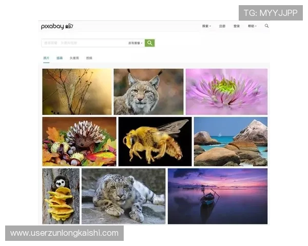 尊龙网址官方地址官方入口大全,涵盖所有最新的官方网址信息 尊龙网址官方地址官方入口大全,涵盖所有最新的官方网址信息