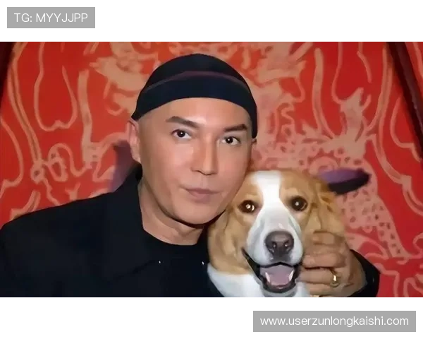 尊龙集团官网入口：便捷访问尊龙最新产品与优惠活动的官方渠道